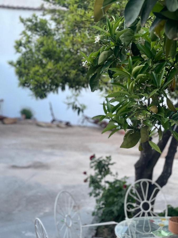 Casa Muriana Alanís Esterno foto